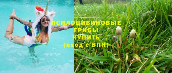 spice Арсеньев