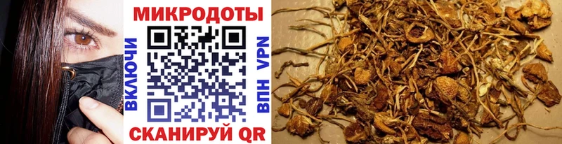 KRAKEN tor Унеча Галлюциногенные грибы GOLDEN TEACHER