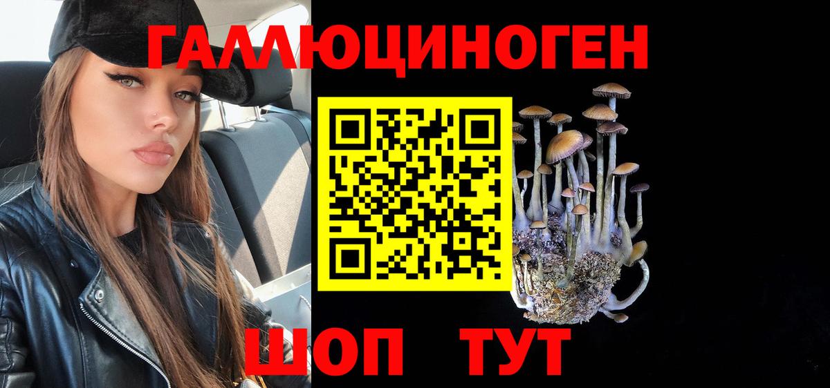 Унеча  Псилоцибиновые грибы ЛСД  Вход с VPN 